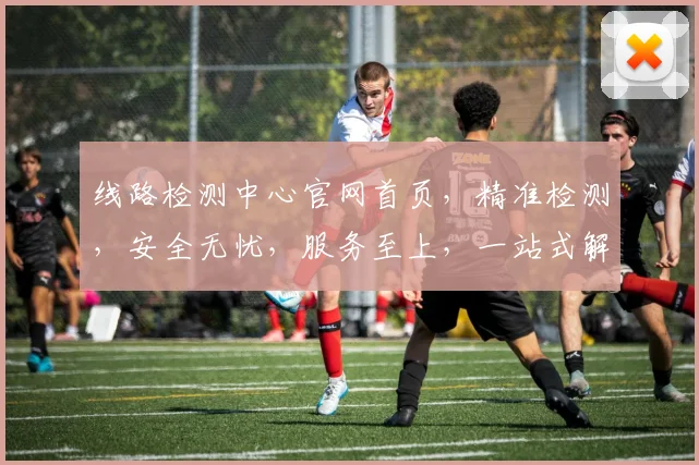 线路检测中心官网首页，精准检测，安全无忧，服务至上，一站式解决方案，专业团队，值得信赖，